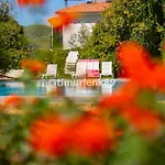 Stunning In With Seaview And Pool * אולודניץ
