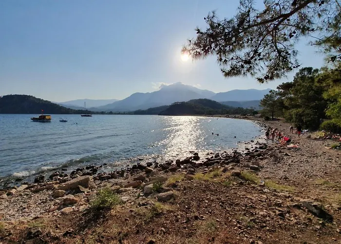 Stunning In With Seaview And Pool *